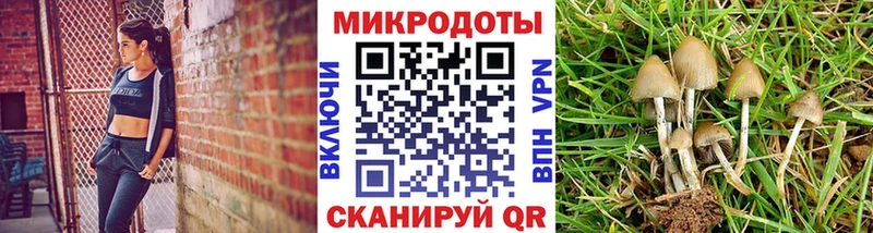 Галлюциногенные грибы ЛСД  Купить  Светлоград 